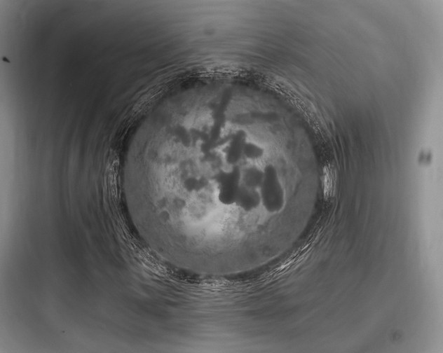 X0000097991059200803241336