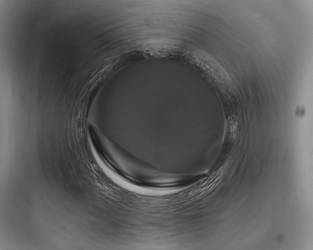 X0000097991060200803241336