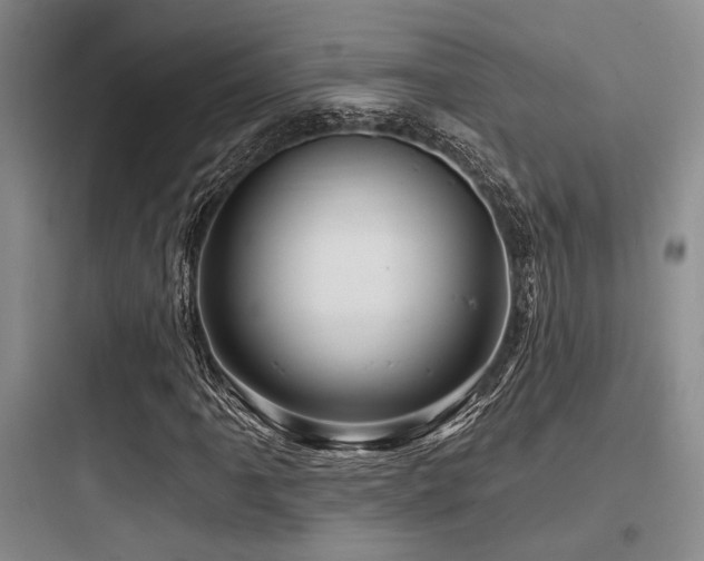 X0000097991061200803241336