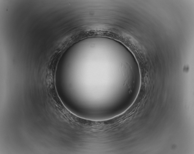 X0000097991062200803241336