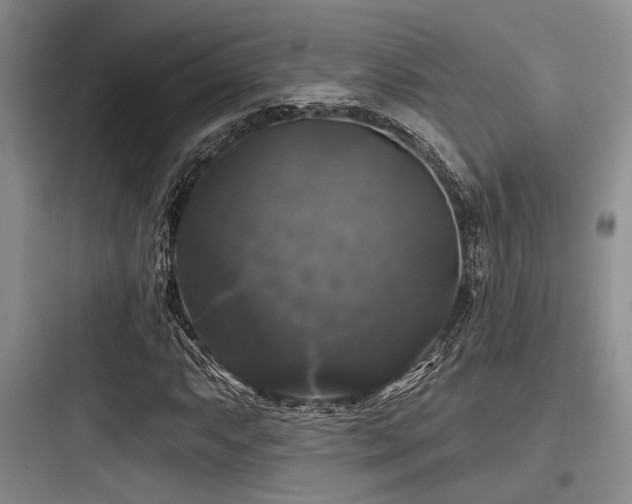 X0000097991063200803241336