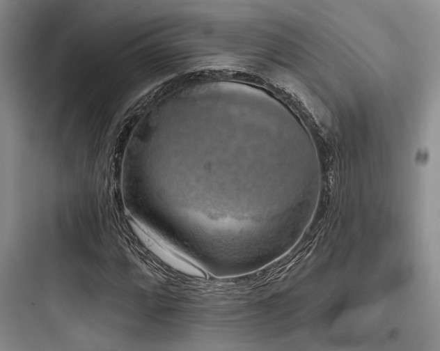 X0000097991064200803241336