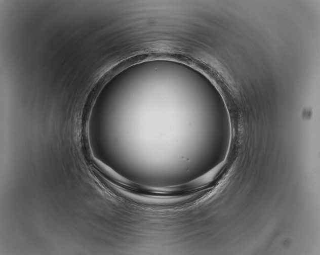 X0000097991065200803241336