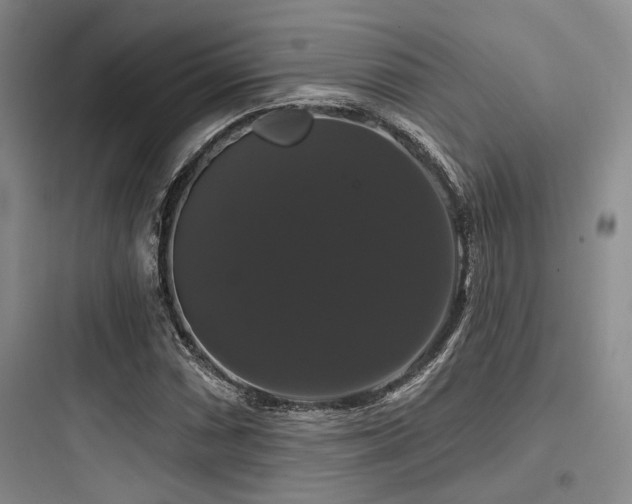 X0000097991066200803241336