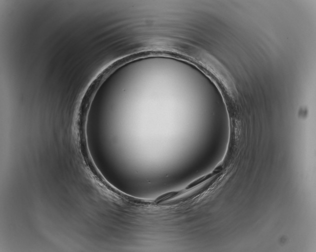 X0000097991068200803241336