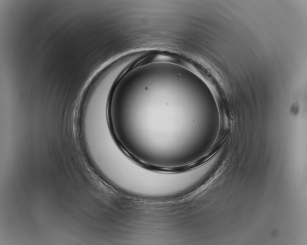 X0000097991069200803241336