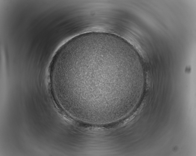 X0000097991070200803241336