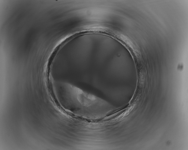 X0000097991071200803241336