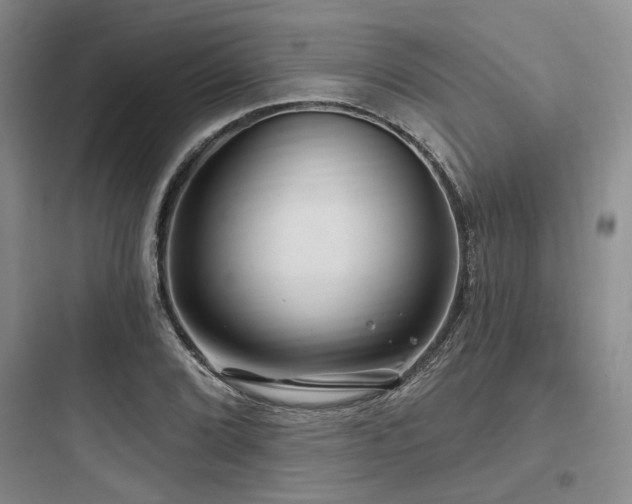 X0000097991072200803241336