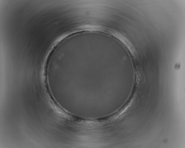 X0000097991074200803241336
