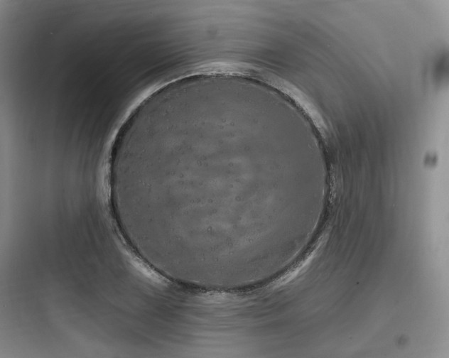 X0000097991075200803241336