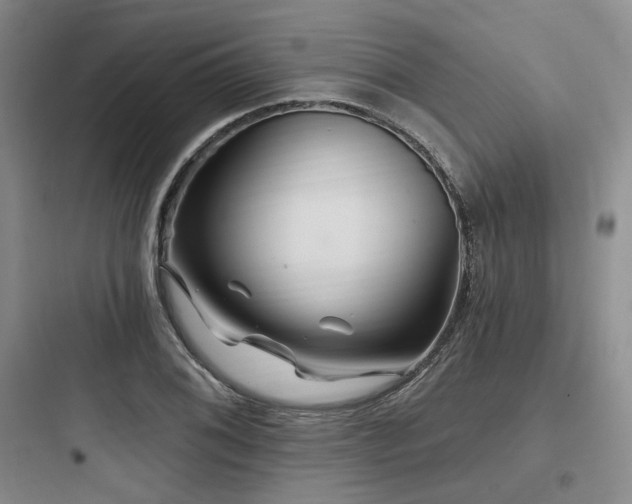 X0000097991076200803241336