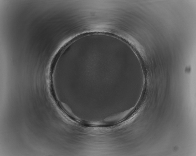 X0000097991077200803241336