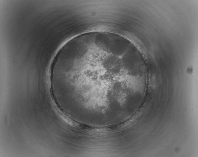 X0000097991078200803241336