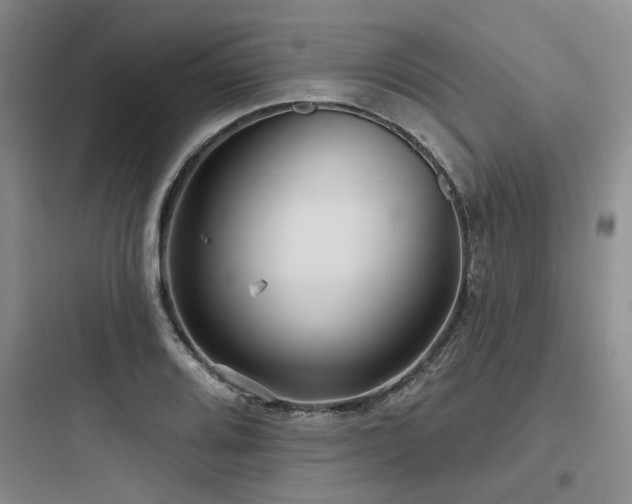 X0000097991080200803241336