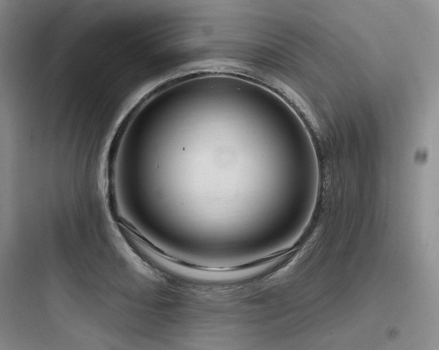 X0000097991082200803241336