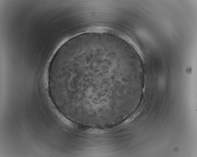 X0000097991083200803241336