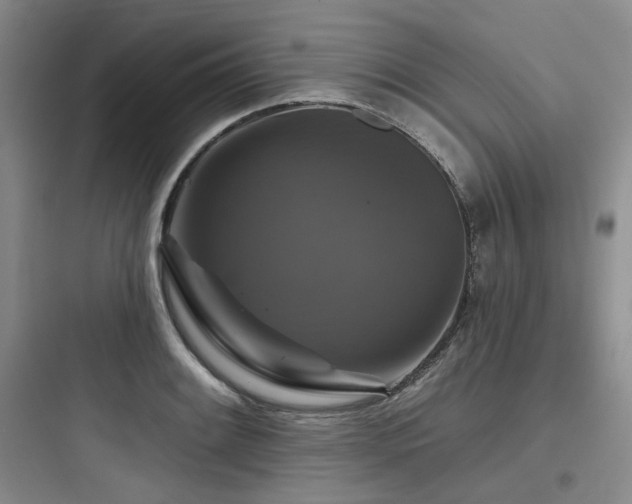 X0000097991084200803241336