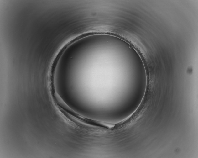 X0000097991085200803241336