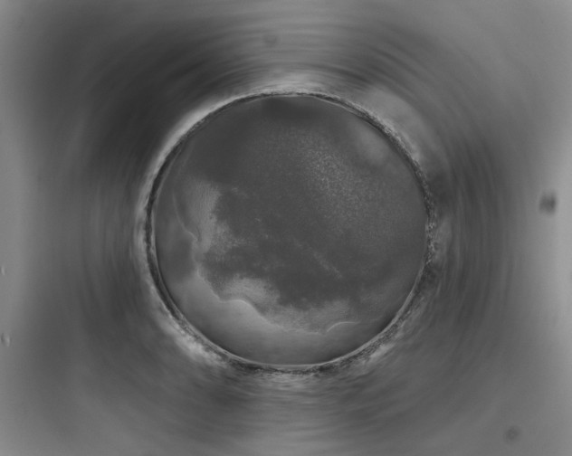 X0000097991086200803241336