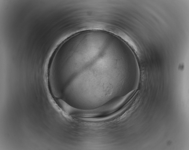 X0000097991088200803241336