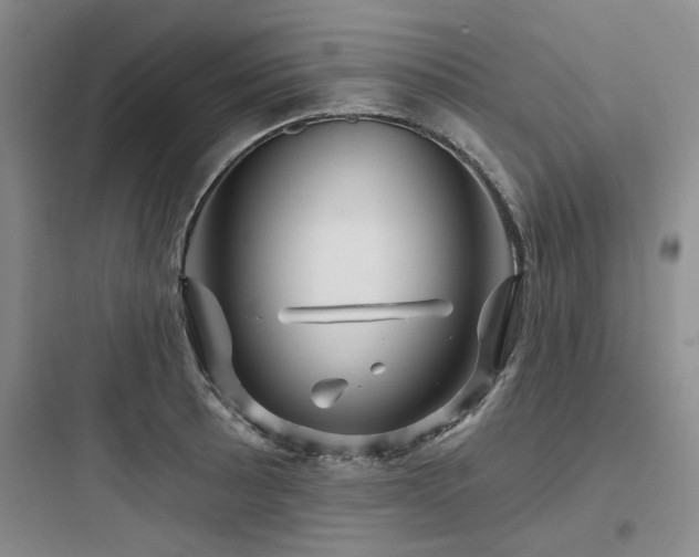 X0000097991089200803241336