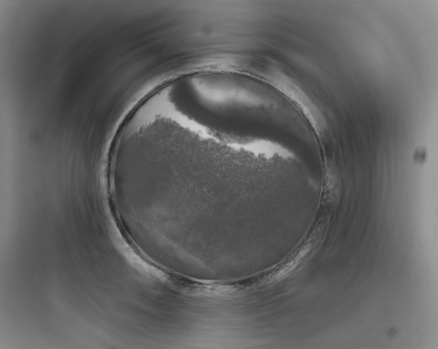 X0000097991090200803241336