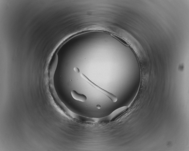 X0000097991092200803241336