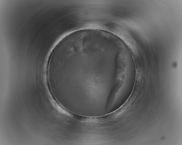 X0000097991094200803241336