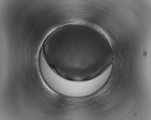 X0000097991095200803241336