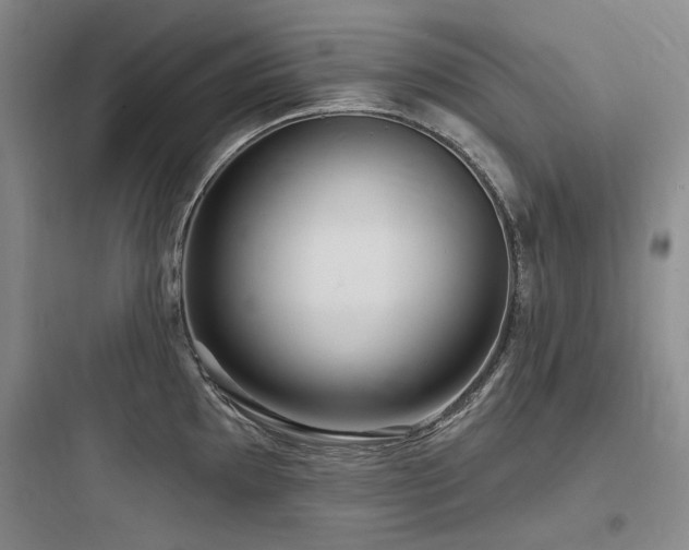 X0000097991097200803241336