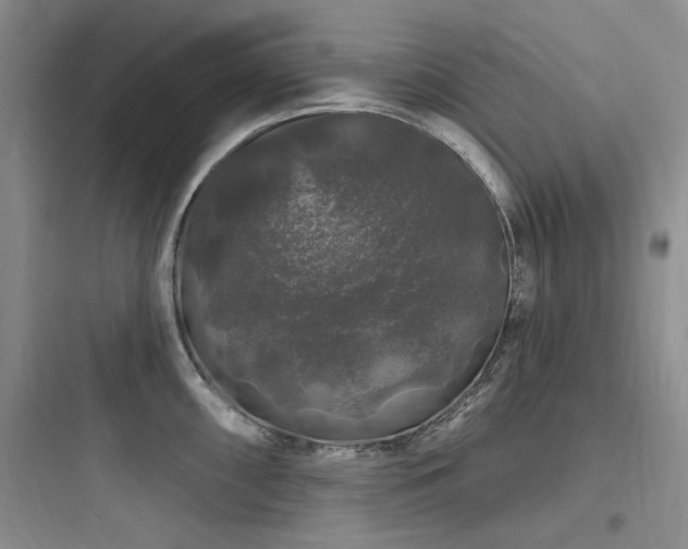 X0000097991098200803241336