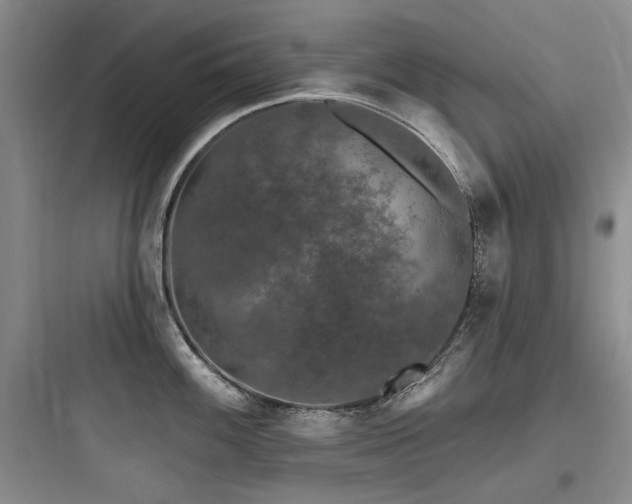 X0000097991100200803241336