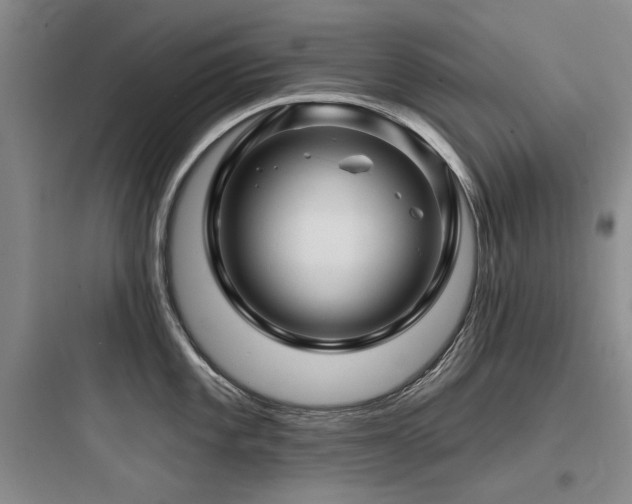 X0000097991101200803241336