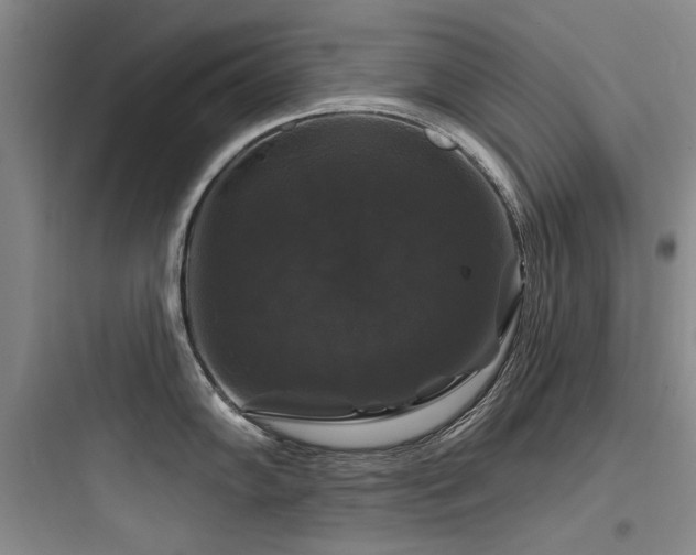 X0000097991102200803241336