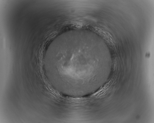 X0000097991105200803241335