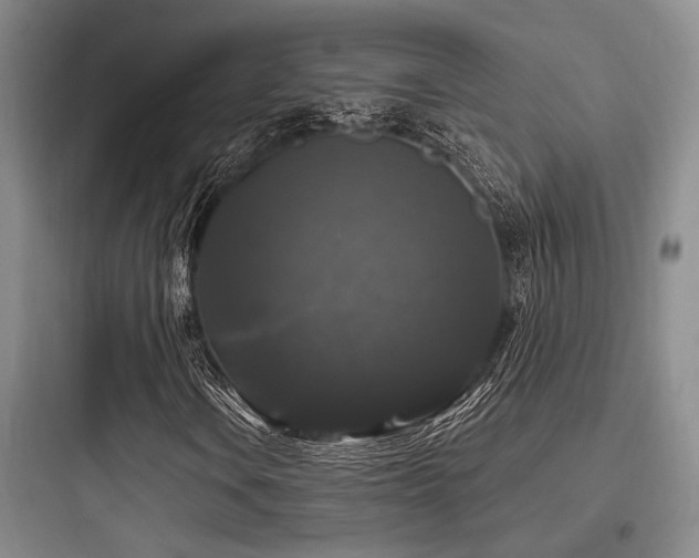 X0000097991106200803241335