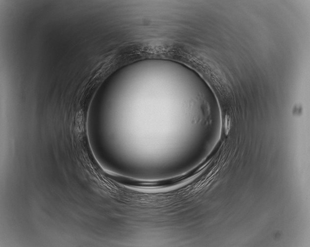 X0000097991107200803241335