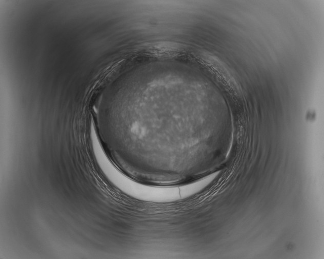 X0000097991108200803241335