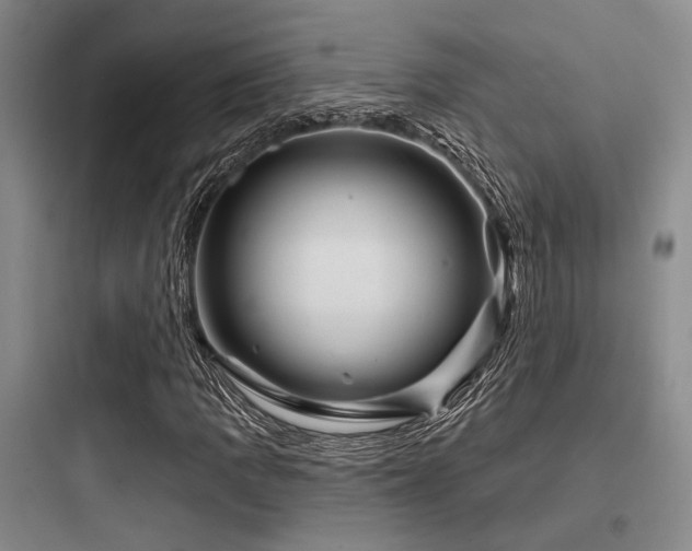 X0000097991109200803241335