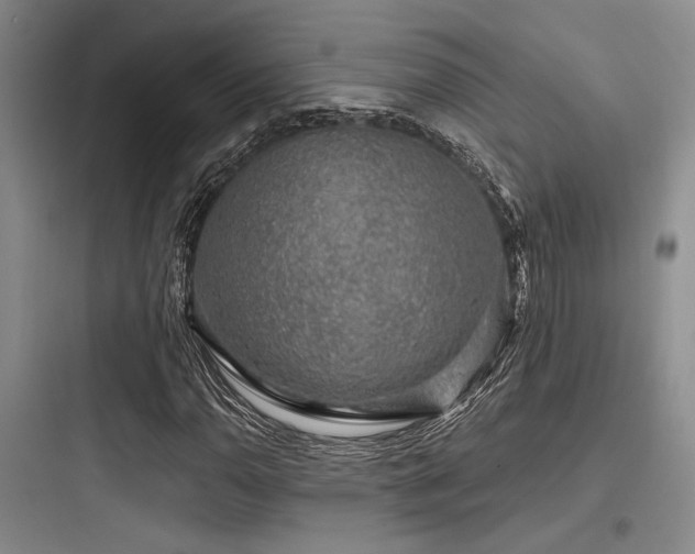 X0000097991110200803241335