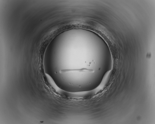 X0000097991111200803241335