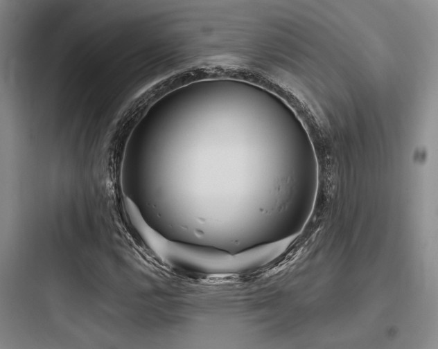 X0000097991112200803241335