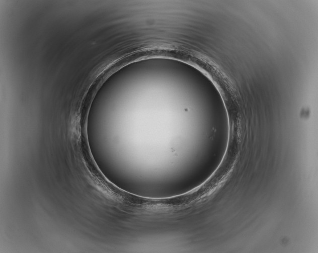 X0000097991113200803241335