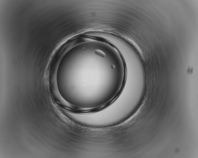 X0000097991114200803241335