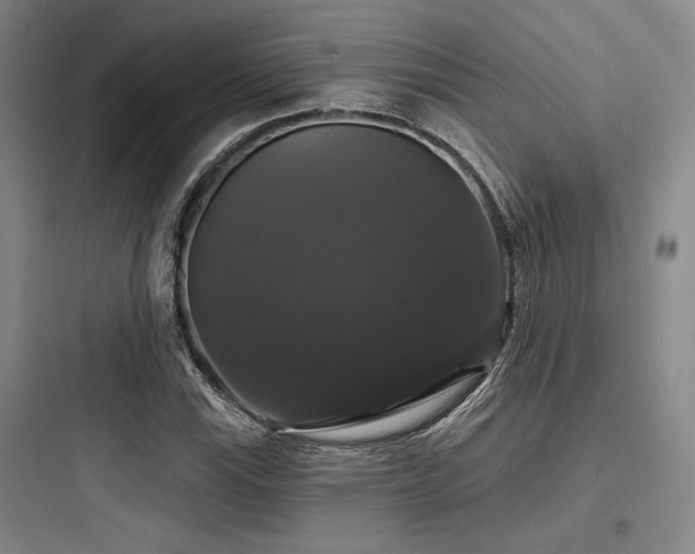 X0000097991115200803241335