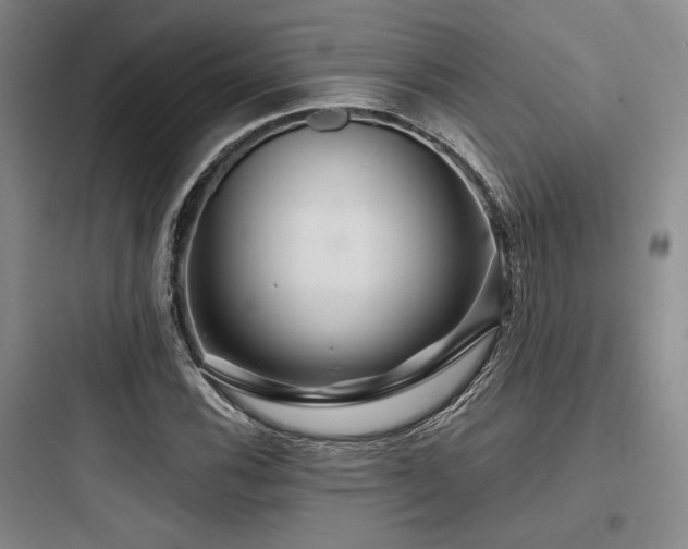 X0000097991116200803241335