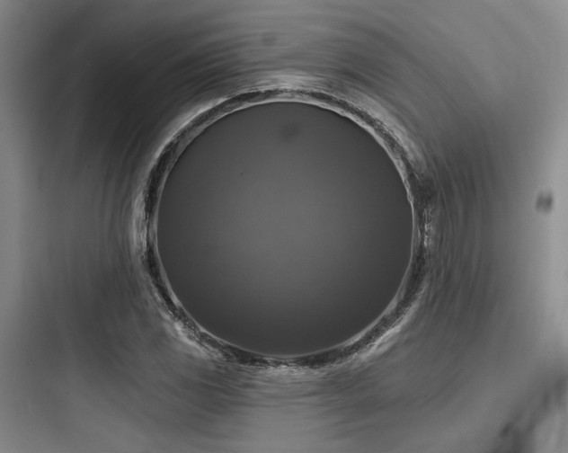 X0000097991117200803241335