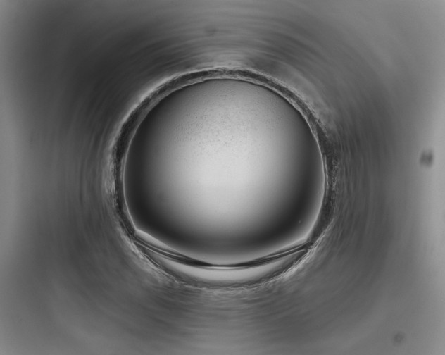 X0000097991118200803241335