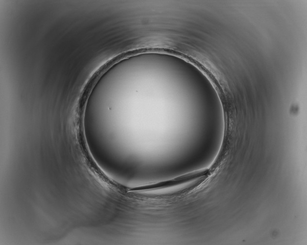 X0000097991119200803241335